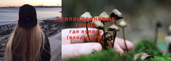 mdpv Арсеньев