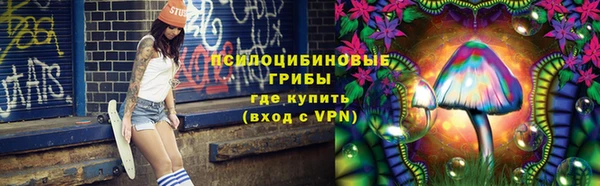 mdpv Арсеньев